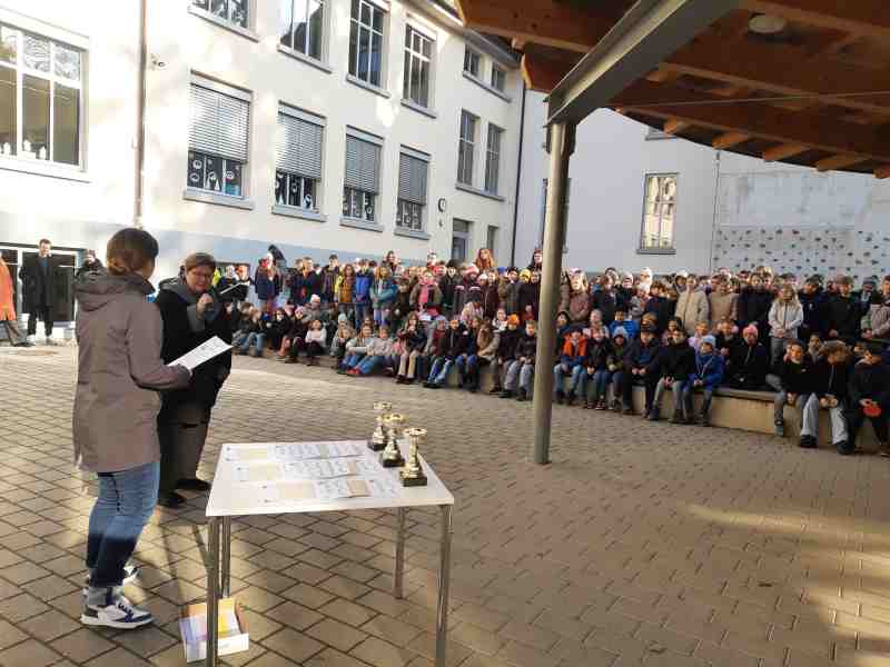 IMG_20260123_113444645